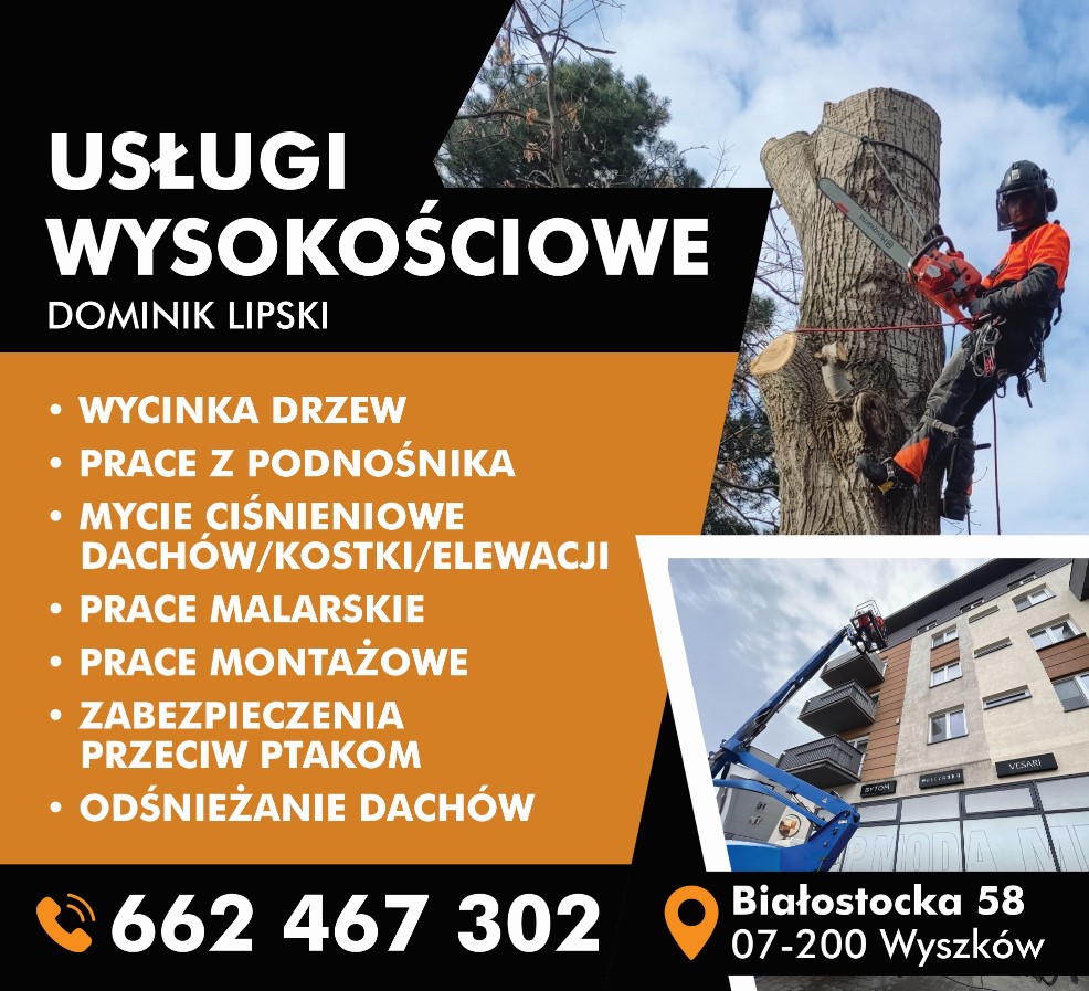 wycinka drzew WYSZKÓW